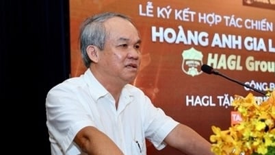 ドゥック氏が大量の株式を売却した後、ホアン・アン・ジア・ライには「特別な新株主」が誕生した。