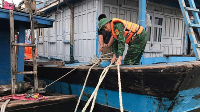 พยายามเก็บเกี่ยวข้าว นำเรือเข้าฝั่งเพื่อหลีกเลี่ยงพายุ