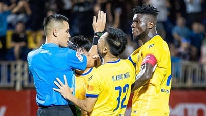 VAR이 없다면 FIFA 심판들도 틀렸을까?