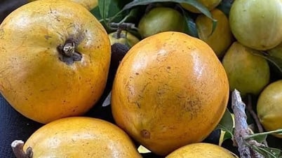 Trái lêkima - 'liều thuốc' tự nhiên rất tốt cho tim