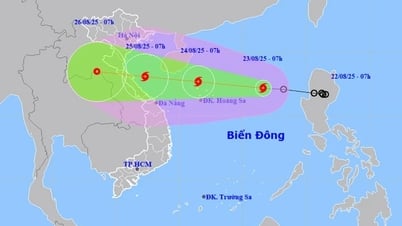 พายุดีเปรสชันเขตร้อนทวีกำลังแรงเป็นพายุหมายเลข 5 คาจิกิ