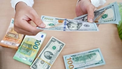 Tipo de cambio del dólar hoy (23 de agosto): El dólar cae drásticamente