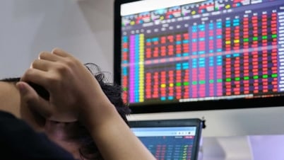 Was sagen Experten nach der Achterbahnfahrt an den Börsen mit einer Liquidität von 2,7 Milliarden USD?