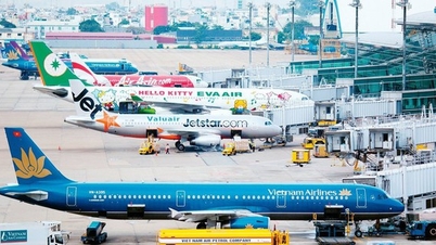 Lập Hội đồng thẩm định nhiệm vụ lập điều chỉnh Quy hoạch hệ thống cảng hàng không toàn quốc