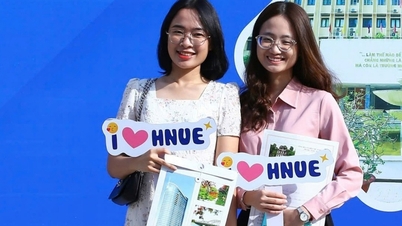 Điểm chuẩn khối ngành sư phạm từ cao đến rất cao