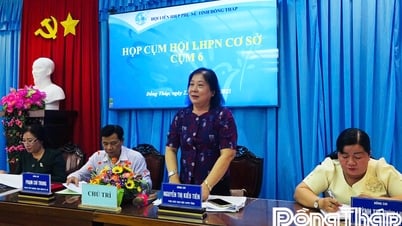 Кластер соревнующихся женщин провинции Донг Тхап № 6 оценивает деятельность Союза