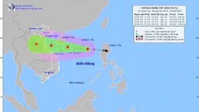 Sturm Nr. 5 bewegt sich sehr schnell und verstärkt sich kontinuierlich. Das betroffene Gebiet erstreckt sich von Thanh Hoa bis Hue.