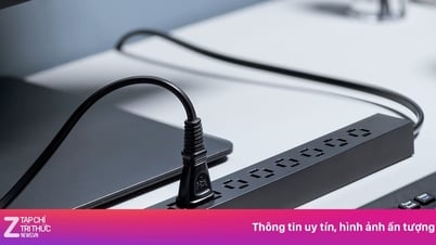 La genial invención japonesa del socket