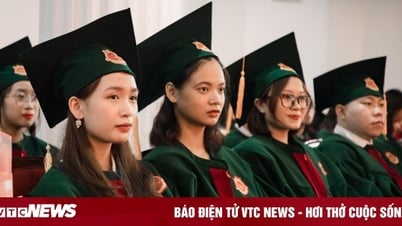 University of Economics - Vietnam National University, Hanoi nimmt den Benchmark-Score von 24,2