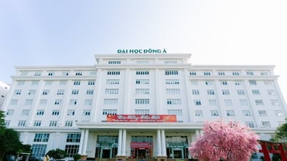 동아대학교의 최고 입학 점수는 20.5점입니다.