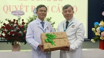 Das Orthopädische Krankenhaus von Ho-Chi-Minh-Stadt hat einen neuen Direktor