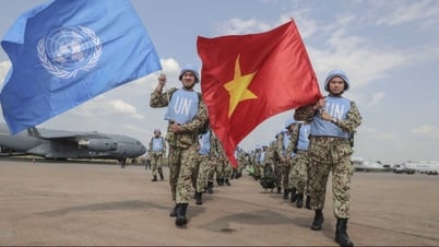 ការយល់ដឹងអំពី "ជំហរសកម្មក្នុងកិច្ចការបរទេស"