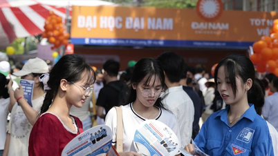 University Admissions 2025: Imbalance in training industry structure