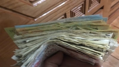 ¿Cómo se destruye el dinero que no vale la pena?