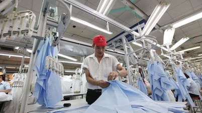 繊維、履物、皮革製品の国内市場の発展