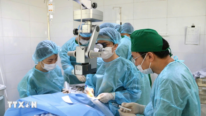 Hai Phong: 4 Hornhauttransplantationen erfolgreich durchgeführt