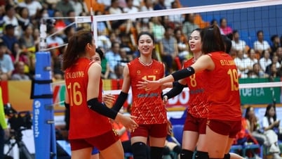 Women's Volleyball World Cup 'empty waves' in Vietnam, audience laments: Where to watch live?