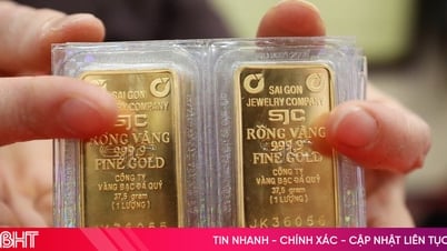 El precio del lingote de oro aumentó al nivel más alto de la historia