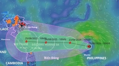 Nghe An emite un despacho urgente para responder a la tormenta n.° 5 (Kajiki) y las inundaciones causadas por la circulación de la tormenta.