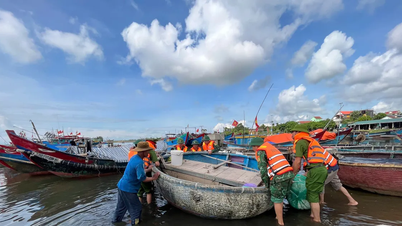 Bộ đội Biên phòng Quảng Trị khẩn cấp kêu gọi tàu thuyền tránh trú bão