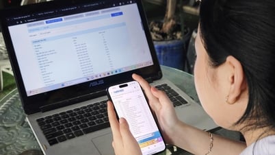 2025년 대학 벤치마크: 과목당 9점 이상 득점한 전공자 중 다수가 아직 합격 여부 불확실