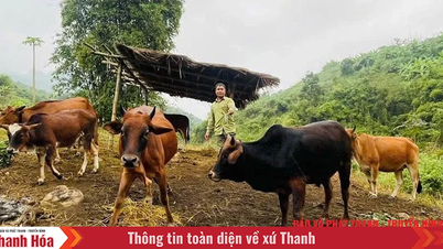 Brücke soll den Menschen der Gemeinde Muong Chanh helfen, der Armut zu entkommen