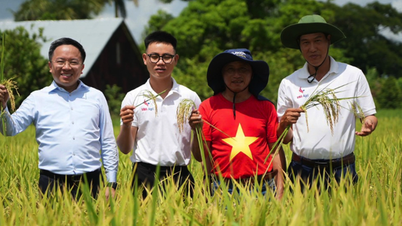 VTV-Sondersendung „Seeds of Happiness“ wurde am 2. September ausgestrahlt