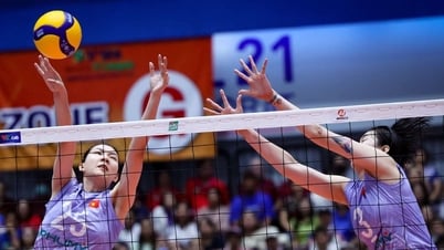 Lịch trực tiếp Giải bóng chuyền nữ vô địch thế giới ngày 23-8