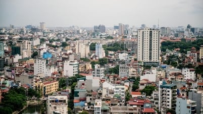 경제적 회복력과 베트남의 개발 성공 사례