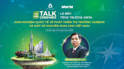 ការអភិវឌ្ឍន៍ទីផ្សារកាបូន៖ បទពិសោធន៍អន្តរជាតិ និងសំណូមពរសម្រាប់វៀតណាម