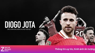 មូលនិធិ Jota ទទួលការបរិច្ចាគបន្ទាប់មកបាត់
