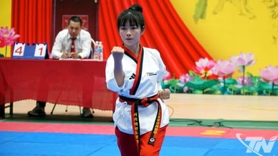 Thai Nguyen Province Martial Arts Club Tournament 2025: Taekwondo-Veranstaltungen beginnen