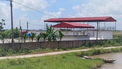 Quyết liệt xóa bỏ nhà máy nước không bảo đảm chất lượng ở nông thôn