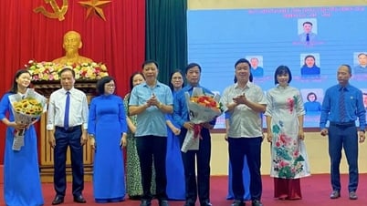 Dong Hai Ward Union manages 104 grassroots unions.
