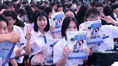 トゥー・ダウ・モット大学のベンチマークスコア：最高の専攻26.86ポイント