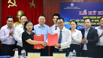 VNNIC firma un acuerdo de cooperación con Tay Ninh: con el objetivo de desarrollar infraestructura de recursos digitales, siendo pionero en la Internet de nueva generación.