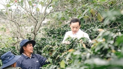 Tạo thu nhập cho vùng đồng bào dân tộc thiểu số