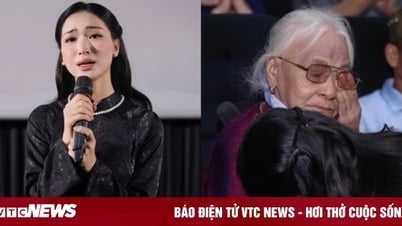 Клип Хоа Минзи набрал почти миллион просмотров, героическая вьетнамская мать плачет от умиления