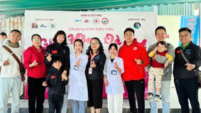 Mobilizing 117 units of blood at the "Da Lat Blood Drops" Festival