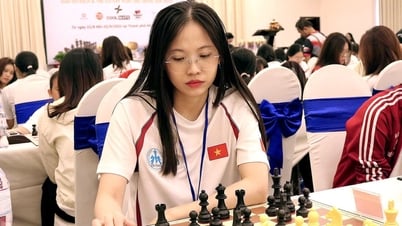Gần 250 kỳ thủ tranh tài ở Giải vô địch Cờ vua xuất sắc quốc gia 2025