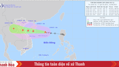 Bão số 5 khi đi vào đất liền khu vực các tỉnh miền Trung, giật cấp 15, mưa lớn diện rộng