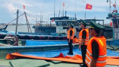 후에시: 벼 수확을 긴급히 진행하고, 5호 폭풍을 피하기 위해 배를 해안으로 대피시키세요.