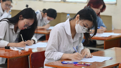IELTS Halo: การแข่งขันที่ไม่เท่าเทียมในด้านการศึกษา?