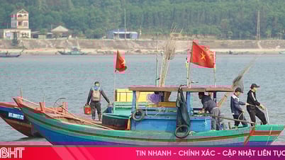 Ha Tinh: Hunderte Schiffe und Boote kommen an Land, um vor Sturm Nr. 5 Schutz zu suchen