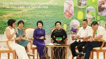 Đào tạo, nâng cao cao năng lực sản xuất nông nghiệp bền vững cho 1.500 phụ nữ tại Tuyên Quang