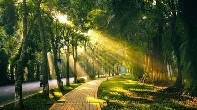Восточное море готово встретить шторм, в Ханое солнечные дни и дождливые ночи.