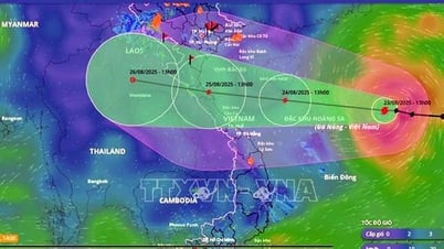 Sturm Nr. 5 hat die Stufe 9 und erreicht in Böen die Stufe 11 und ist etwa 300 km von der Sonderzone Hoang Sa entfernt.