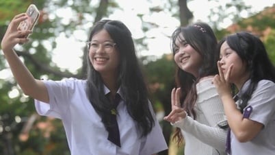 4/6 ngành học lấy điểm chuẩn tuyệt đối 30 là Sư phạm