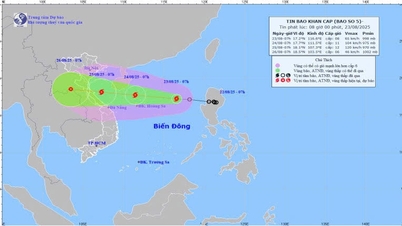 関係機関と部隊は、嵐第5号を防ぐための任務を緊急に遂行している。