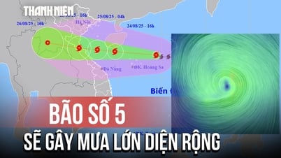 폭풍 경보 5호로 인해 광범위한 지역에 폭우가 내리고, 돌풍 레벨 15가 발령되었습니다.